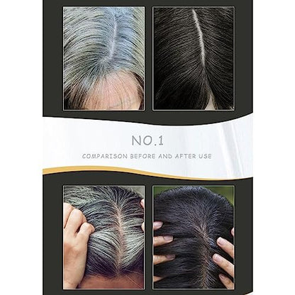 Gegong Hair Coloring Shampoo - 500ml Natural Black Color Shampoo with 4 Gloves, Coconut Ginger Nourishing Formula for Fast Hair Dyeing