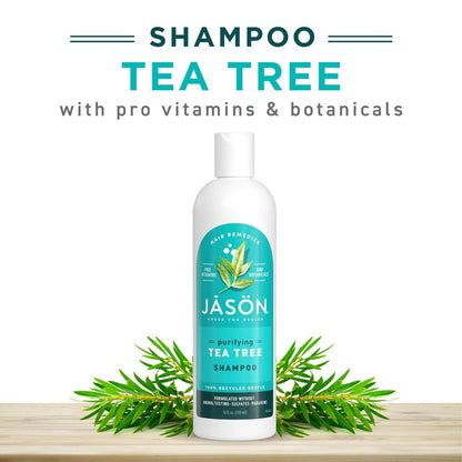 Jason Tea Tree Shampoo 12 oz – Clarifying and Soothing Hair Care Avelisse