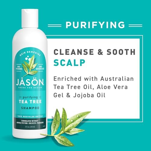 Jason Tea Tree Shampoo 12 oz – Clarifying and Soothing Hair Care Avelisse