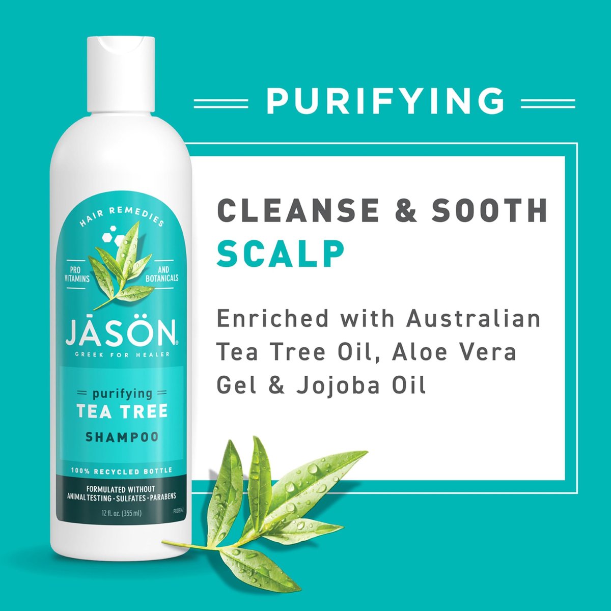 Jason Tea Tree Shampoo 12 oz – Clarifying and Soothing Hair Care Avelisse