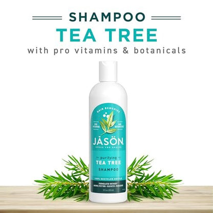 Jason Tea Tree Shampoo 12 oz – Clarifying and Soothing Hair Care Avelisse