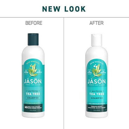 Jason Tea Tree Shampoo 12 oz – Clarifying and Soothing Hair Care Avelisse
