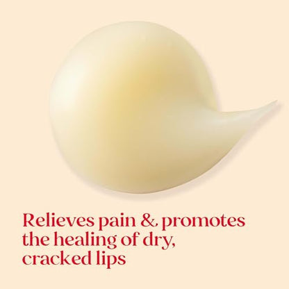 Burt's Bees Cold Sore Treatment & Medicated Lip Balm with Menthol & Eucalyptus Oil, 2 Tubes