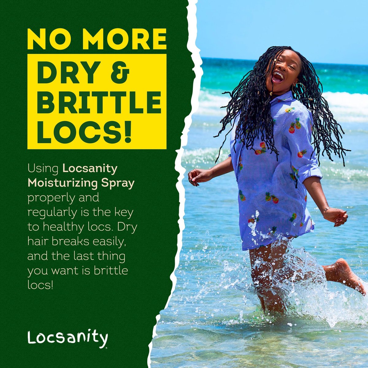 Locsanity Daily Moisturizing Rosewater & Peppermint Spray for Locs and Dreadlocks – Lightweight Frizz Control Hair & Scalp Moisturizer, Natural Loc Care, 12 fl oz Avelisse