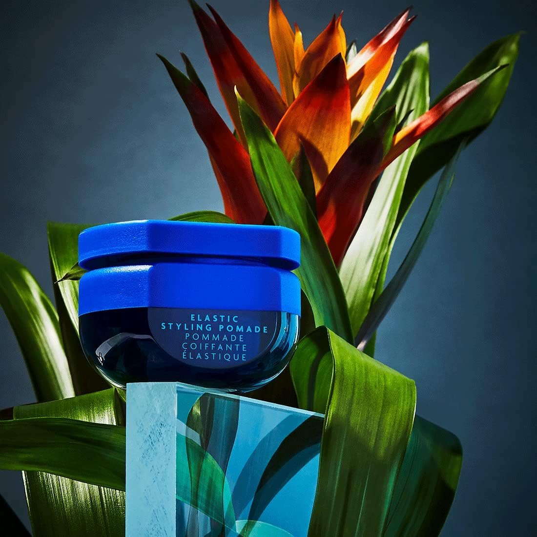 R+Co BLEU Elastic Styling Pomade – Light Hold, Piecey Texture & Structure for Short and Long Hair, 1.7 oz Avelisse