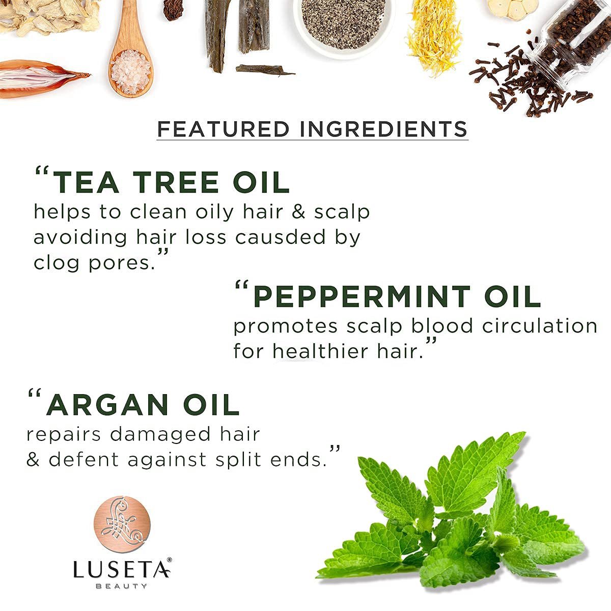 Luseta Tea Tree & Mint Shampoo - Cleansing, Soothing, Anti-Dandruff for All Hair Types (16.9 oz) Avelisse