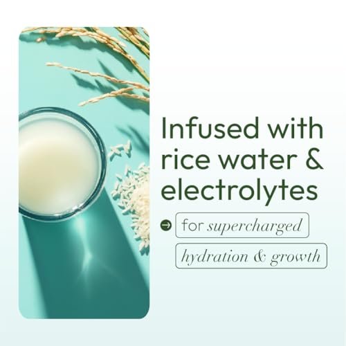ORS Olive Oil Max Moisture Leave-In Conditioner with Rice Water and Electrolytes - Supercharged Hair Hydration, 16 oz Avelisse