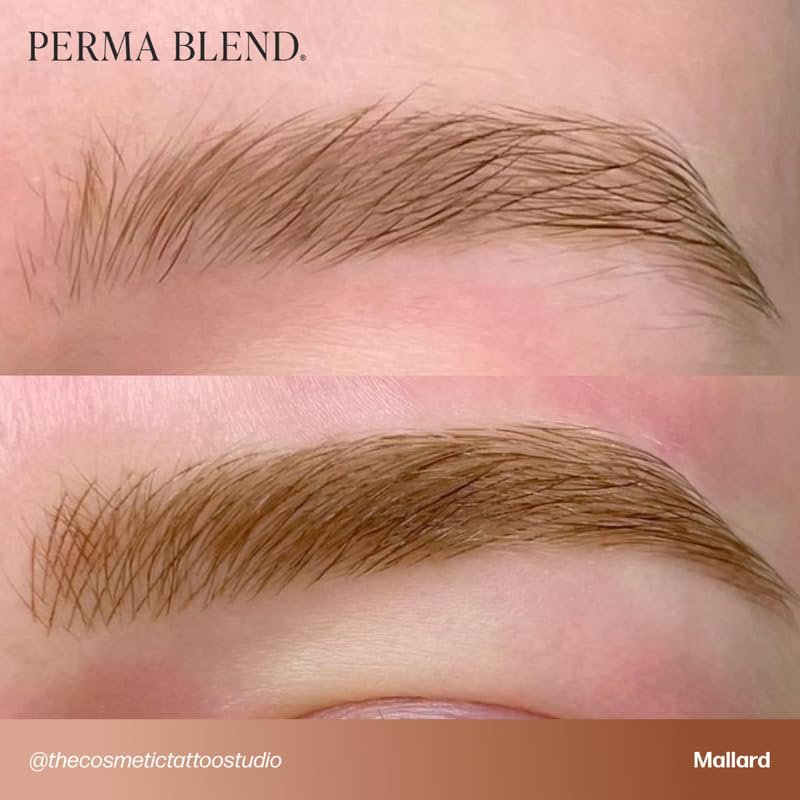 Perma Blend Cool Eyebrow Mini Set - Vegan PMU Tattoo Ink for Brows & Eyeliner - Cool-Toned Pigment Kit for Cosmetic Tattoo Artists Avelisse