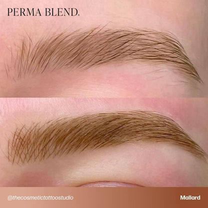 Perma Blend Cool Eyebrow Mini Set - Vegan PMU Tattoo Ink for Brows & Eyeliner - Cool-Toned Pigment Kit for Cosmetic Tattoo Artists Avelisse