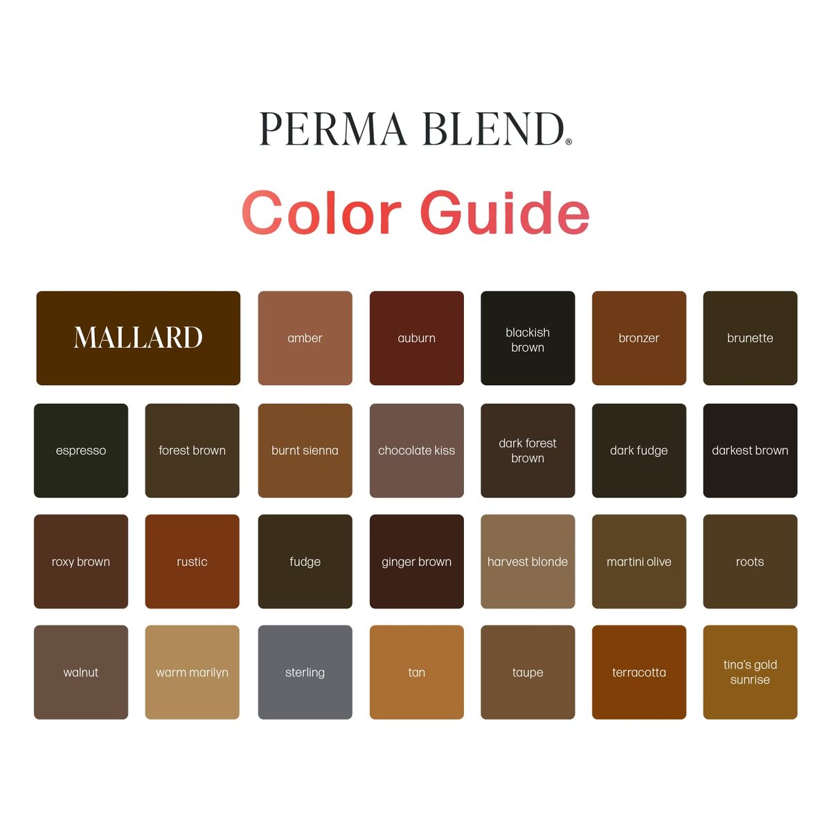 Perma Blend Cool Eyebrow Mini Set - Vegan PMU Tattoo Ink for Brows & Eyeliner - Cool-Toned Pigment Kit for Cosmetic Tattoo Artists Avelisse