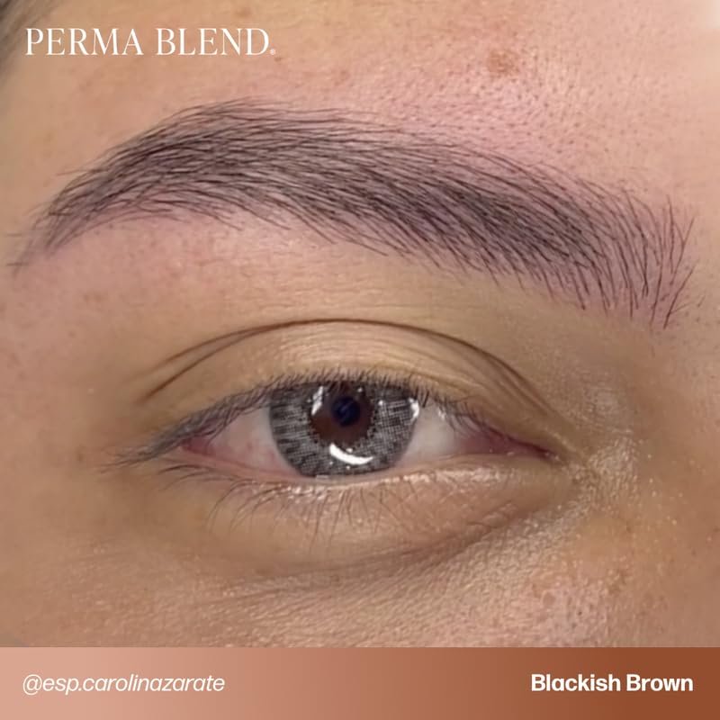 Perma Blend Cool Eyebrow Mini Set - Vegan PMU Tattoo Ink for Brows & Eyeliner - Cool-Toned Pigment Kit for Cosmetic Tattoo Artists Avelisse