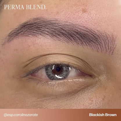 Perma Blend Cool Eyebrow Mini Set - Vegan PMU Tattoo Ink for Brows & Eyeliner - Cool-Toned Pigment Kit for Cosmetic Tattoo Artists Avelisse