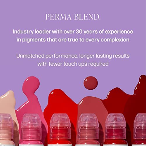 Perma Blend Cool Eyebrow Mini Set - Vegan PMU Tattoo Ink for Brows & Eyeliner - Cool-Toned Pigment Kit for Cosmetic Tattoo Artists Avelisse