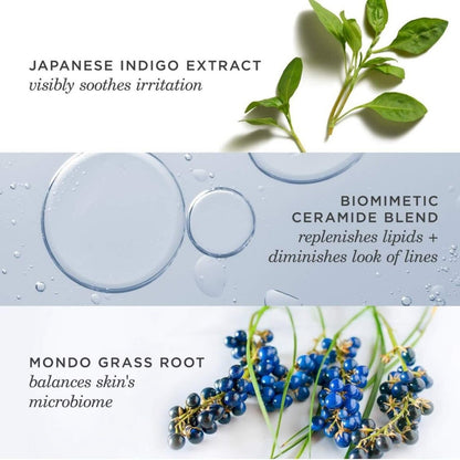 TATCHA Indigo Overnight Repair Face Cream & Serum Treatment - Fragrance Free Night Cream, 1.7 oz Avelisse