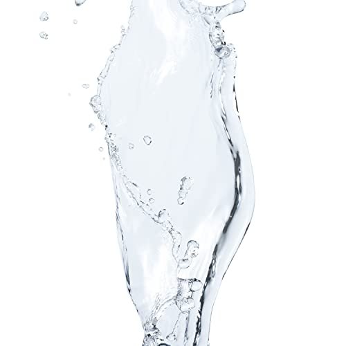 L’Oréal Paris Elvive Dream Lengths Curls No Build-Up Micellar Shampoo - Sulfate-Free, Silicone-Free, Paraben-Free with Hyaluronic Acid and Castor Oil for Curly to Coily Hair, 16.9 Fl Oz Avelisse