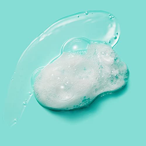 Carol's Daughter Wash Day Delight Hair Gel to Foam Mousse Styler and Hair Detangler for Curls with Aloe, Natural-looking Hold 8.5 fl oz Avelisse