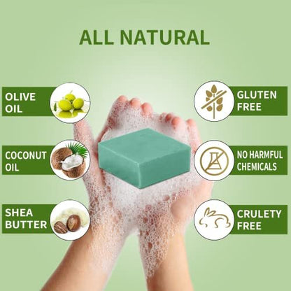 12 Pack Natural Plant Fragrance Bar Soap Gift Set - Travel Size Hand Wash Bars for Women, Men, Teens - Bulk Assorted Scents Avelisse