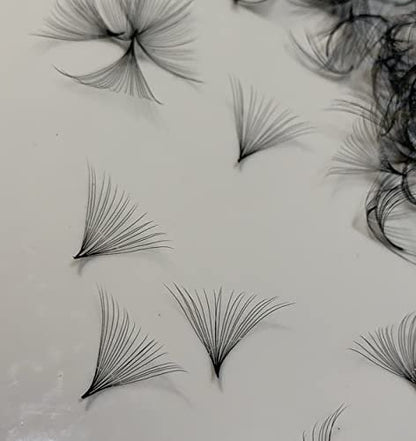 20D Premade Fan Lashes by Lash by Holly – Handmade Silk Eyelash Extensions, D Curl, 0.05 Thickness, 10-17mm Length (500 Fans/Tray) – D13mm20D
