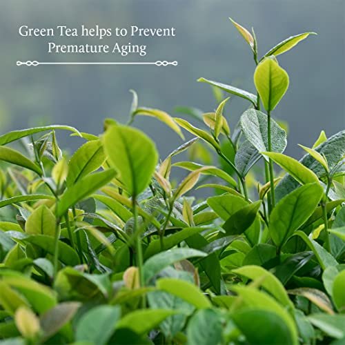 Blue Nectar Green Tea Face Moisturizer for Oily Skin with Vitamin C, Rosehip Oil & 14 Ayurvedic Herbs - 3.38 Fl Oz - görsel 10