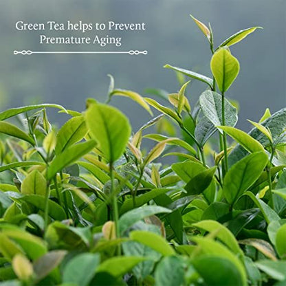 Blue Nectar Green Tea Face Moisturizer for Oily Skin with Vitamin C, Rosehip Oil & 14 Ayurvedic Herbs - 3.38 Fl Oz