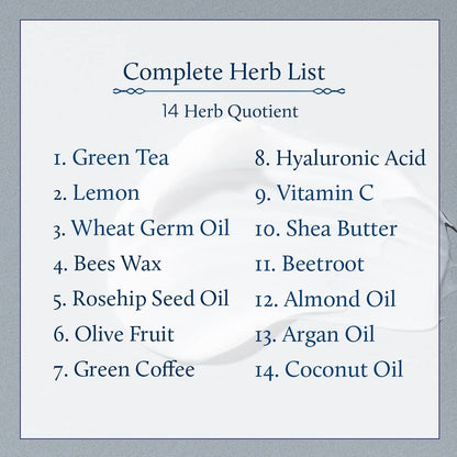 Blue Nectar Green Tea Face Moisturizer for Oily Skin with Vitamin C, Rosehip Oil & 14 Ayurvedic Herbs - 3.38 Fl Oz