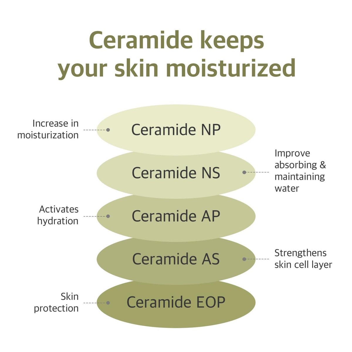 ROUND LAB Soybean Serum (Unscented) | Rejuvenating & Nourishing Serum with Deep Nutrition, Hydration Locking, Unscented for Sensitive Skin (1.69 fl oz) - görsel 13