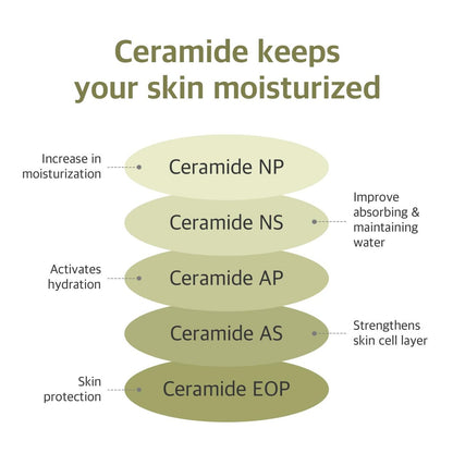 ROUND LAB Soybean Serum (Unscented) | Rejuvenating & Nourishing Serum with Deep Nutrition, Hydration Locking, Unscented for Sensitive Skin (1.69 fl oz)