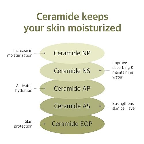 ROUND LAB Soybean Serum (Unscented) | Rejuvenating & Nourishing Serum with Deep Nutrition, Hydration Locking, Unscented for Sensitive Skin (1.69 fl oz) - görsel 14