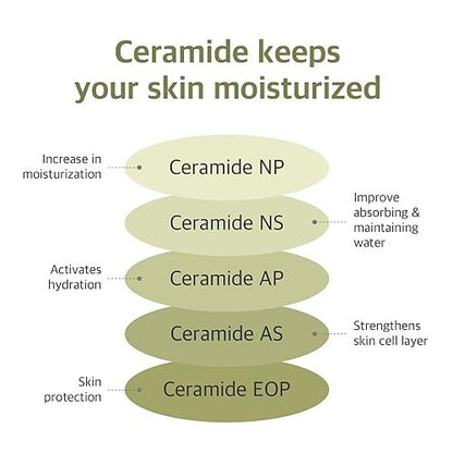 ROUND LAB Soybean Serum (Unscented) | Rejuvenating & Nourishing Serum with Deep Nutrition, Hydration Locking, Unscented for Sensitive Skin (1.69 fl oz)