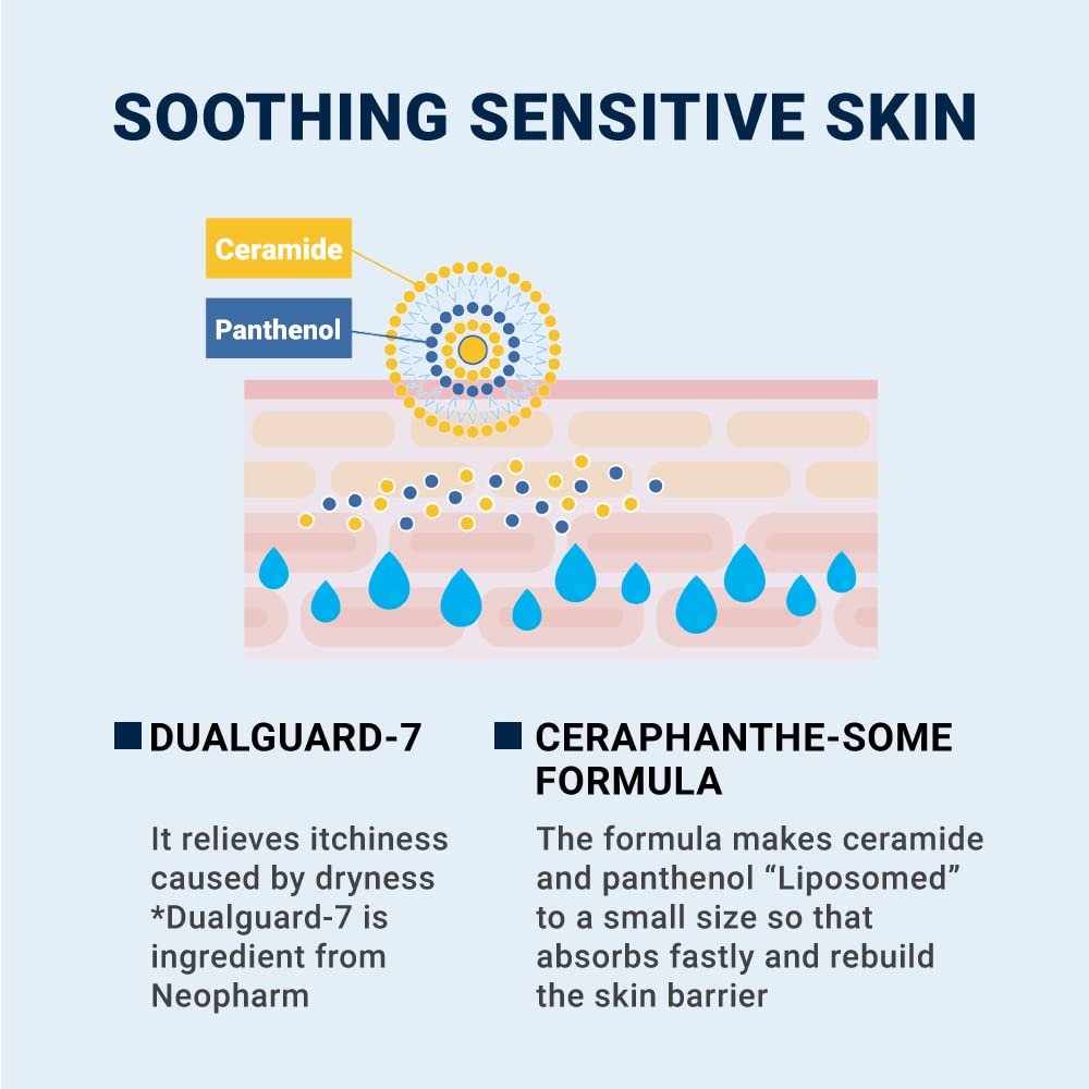 Derma B CeraMD Repair Cream Wash - Unscented Fragrance Free Creamy Face & Body Cleanser for Dry Sensitive Itchy Skin, Deep Moisture Paraben-Free Body Wash, Cream to Foam Cleanser, 13.5 Fl. Oz. (400ml) Avelisse