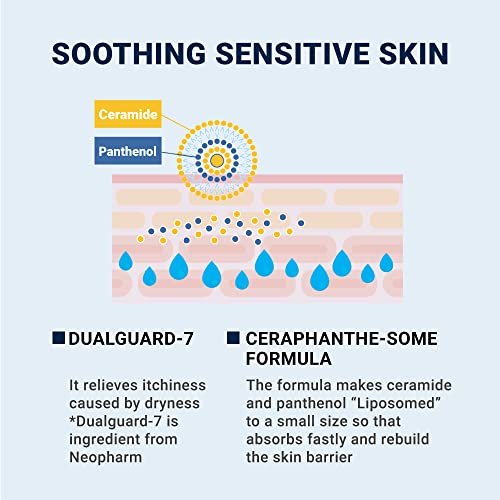 Derma B CeraMD Repair Cream Wash - Unscented Fragrance Free Creamy Face & Body Cleanser for Dry Sensitive Itchy Skin, Deep Moisture Paraben-Free Body Wash, Cream to Foam Cleanser, 13.5 Fl. Oz. (400ml) Avelisse