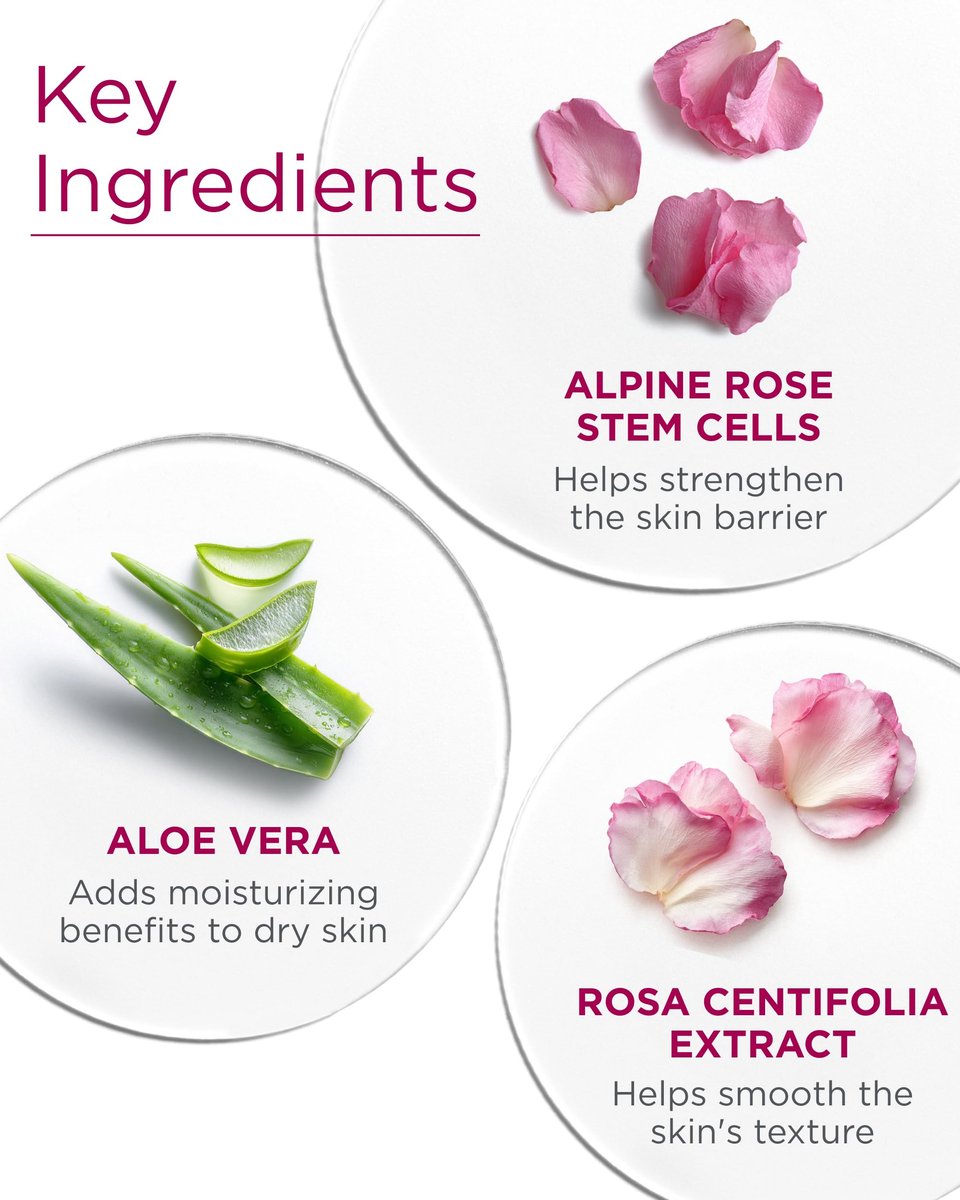 Andalou Naturals 1000 Roses Skin Biome Balancing Day Cream - Lightweight Face Moisturizer with Alpine Rose Stem Cells & Postbiotics for Sensitive Skin, 1.7 oz Avelisse