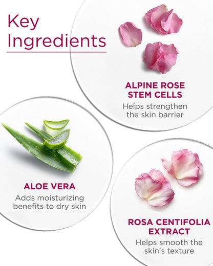 Andalou Naturals 1000 Roses Skin Biome Balancing Day Cream - Lightweight Face Moisturizer with Alpine Rose Stem Cells & Postbiotics for Sensitive Skin, 1.7 oz Avelisse