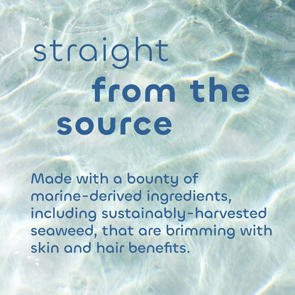 Seaweed Bath Co. Gloss Shampoo - Sea Salt Bergamot Scent, 12 oz - Sustainably Harvested Seaweed, Awapuhi & Lactic Acid for All Hair Types Avelisse