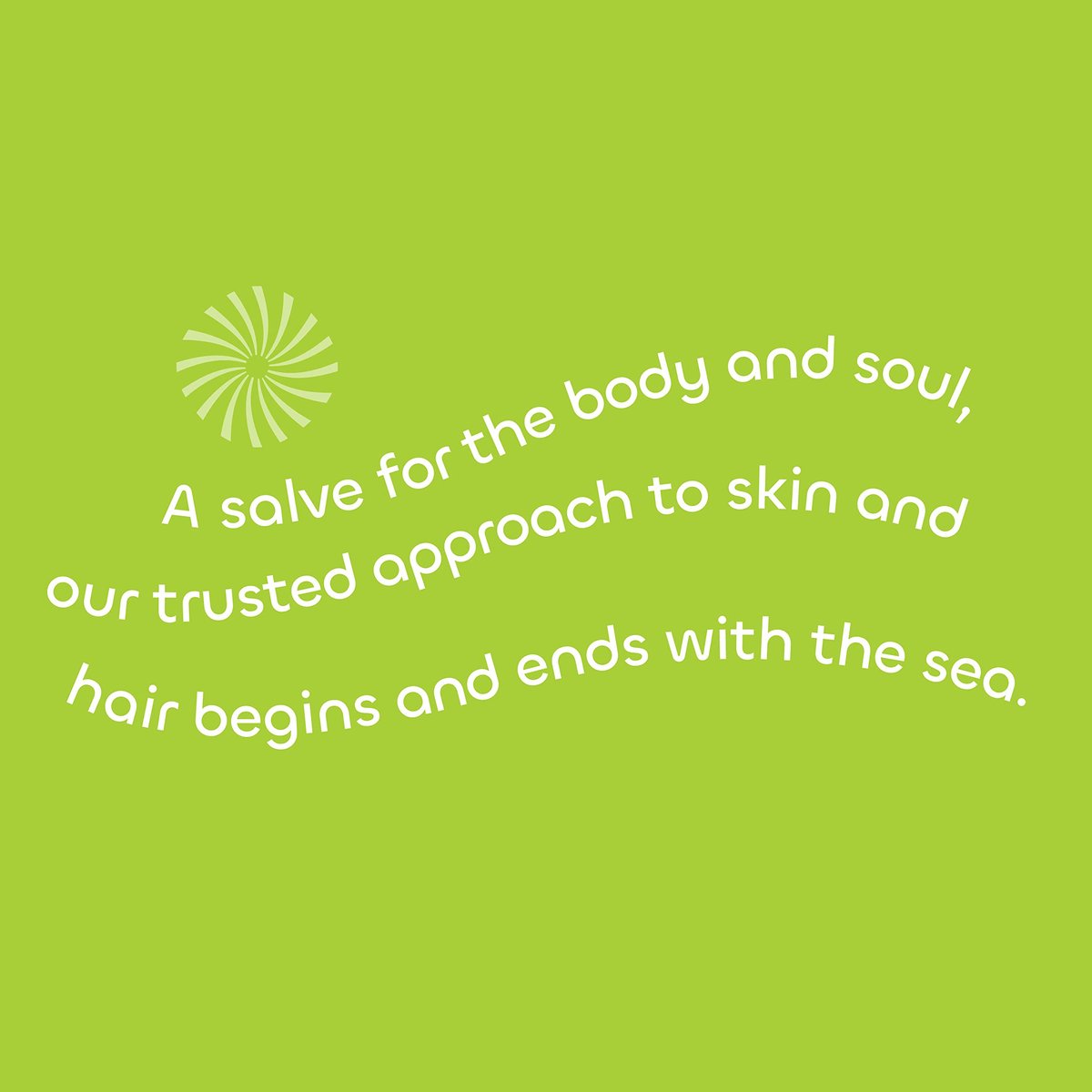 Seaweed Bath Co. Gloss Shampoo - Sea Salt Bergamot Scent, 12 oz - Sustainably Harvested Seaweed, Awapuhi & Lactic Acid for All Hair Types Avelisse