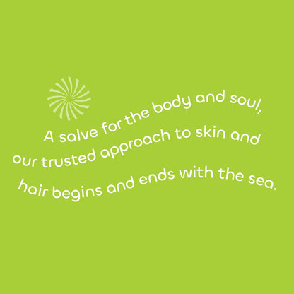 Seaweed Bath Co. Gloss Shampoo - Sea Salt Bergamot Scent, 12 oz - Sustainably Harvested Seaweed, Awapuhi & Lactic Acid for All Hair Types Avelisse