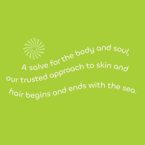 Seaweed Bath Co. Gloss Conditioner - Sea Salt Bergamot Scent, 12 oz - Sustainably Harvested Seaweed & Awapuhi for All Hair Types Avelisse