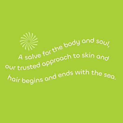 Seaweed Bath Co. Gloss Conditioner - Sea Salt Bergamot Scent, 12 oz - Sustainably Harvested Seaweed & Awapuhi for All Hair Types Avelisse