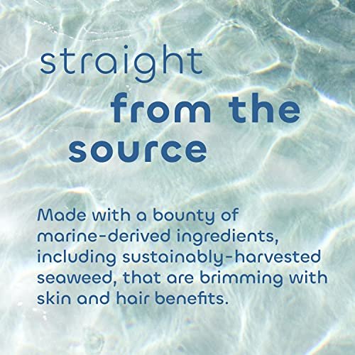 Seaweed Bath Co. Gloss Shampoo - Sea Salt Bergamot Scent, 12 oz - Sustainably Harvested Seaweed, Awapuhi & Lactic Acid for All Hair Types Avelisse