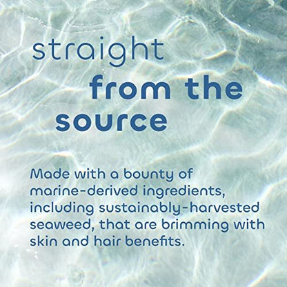Seaweed Bath Co. Gloss Shampoo - Sea Salt Bergamot Scent, 12 oz - Sustainably Harvested Seaweed, Awapuhi & Lactic Acid for All Hair Types Avelisse