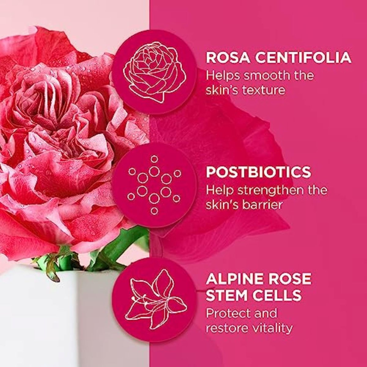 Andalou Naturals 1000 Roses Fortifying Night Cream - 1.7 oz Avelisse
