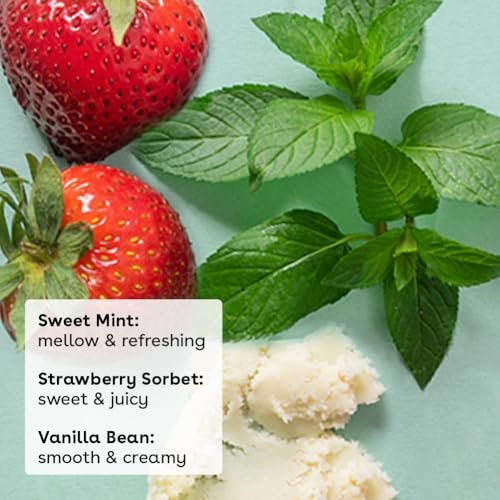 eos 100% Natural & Organic Lip Balm Trio - Vanilla Bean, Sweet Mint, & Strawberry Sorbet, 0.14 oz, 3-Pack - görsel 3