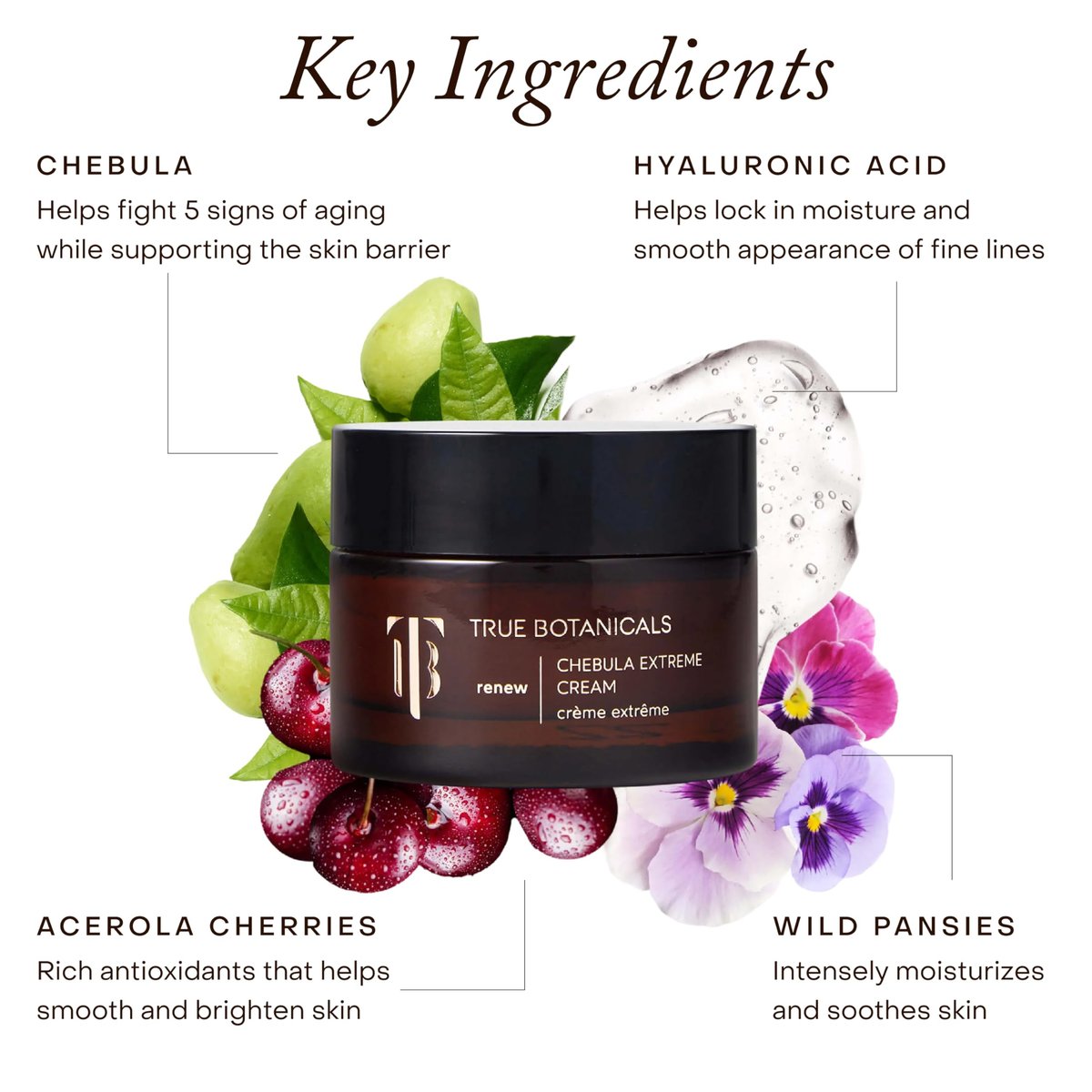 True Botanicals Chebula Extreme Cream | Anti-Aging Moisturizer with Hyaluronic Acid for Dry & Sensitive Skin | Vegan & Natural | 1.7 oz Avelisse
