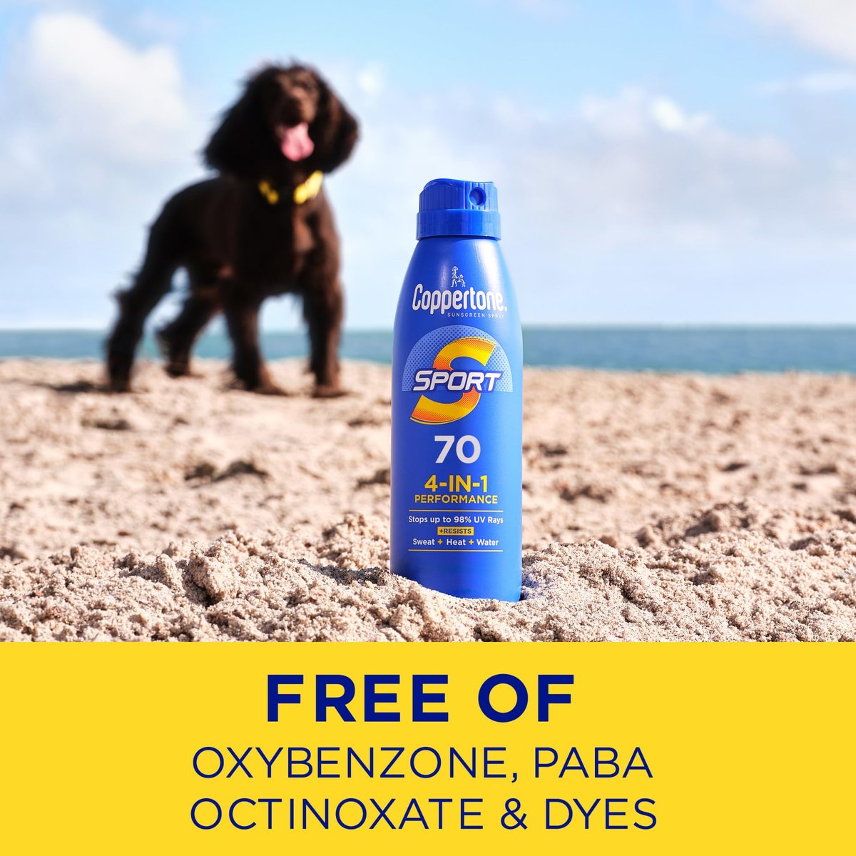 Coppertone SPORT Sunscreen Spray SPF 70, Water Resistant, Broad Spectrum, 5.5 oz (Pack of 3) Avelisse