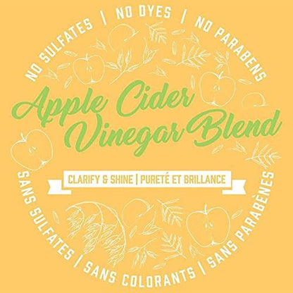 Aveeno Apple Cider Vinegar Shampoo & Conditioner Set – Daily Clarifying & Soothing Scalp Care for Oily & Dull Hair, 2 x 12 fl. oz