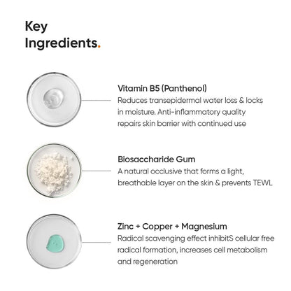 Minimalist Vitamin B5 10% Face Moisturizer - Oil-Free Lightweight Gel for Oily & Acne Prone Skin, 50g