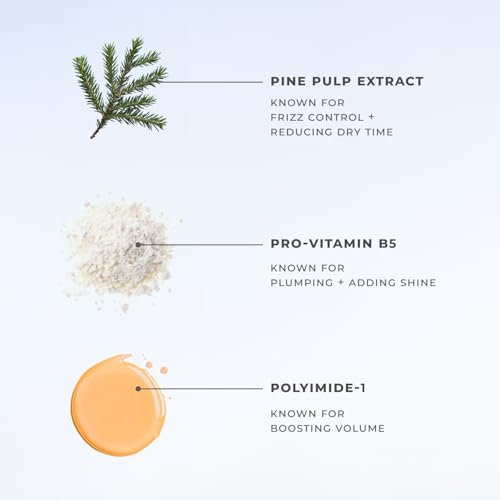 XMONDO Hair Salty Sea Salt Spray - Vegan Formula with Natural Minerals, Seaweed Extracts, and Baobab Oil for Texture, Volume, and Shine, 6 Fl Oz Avelisse