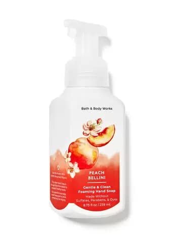 Bath and Body Works Foaming Hand Soaps - Set of 5 Gentle Foaming Soaps (Fresh & Fruity) Avelisse