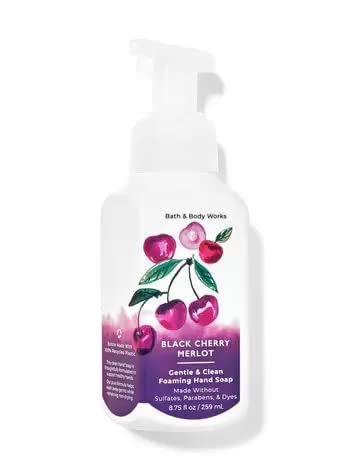 Bath and Body Works Foaming Hand Soaps - Set of 5 Gentle Foaming Soaps (Fresh & Fruity) Avelisse