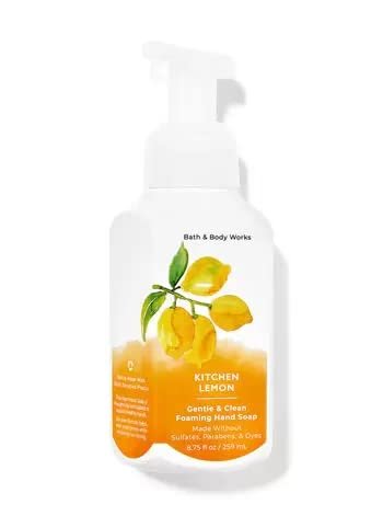 Bath and Body Works Foaming Hand Soaps - Set of 5 Gentle Foaming Soaps (Fresh & Fruity) Avelisse